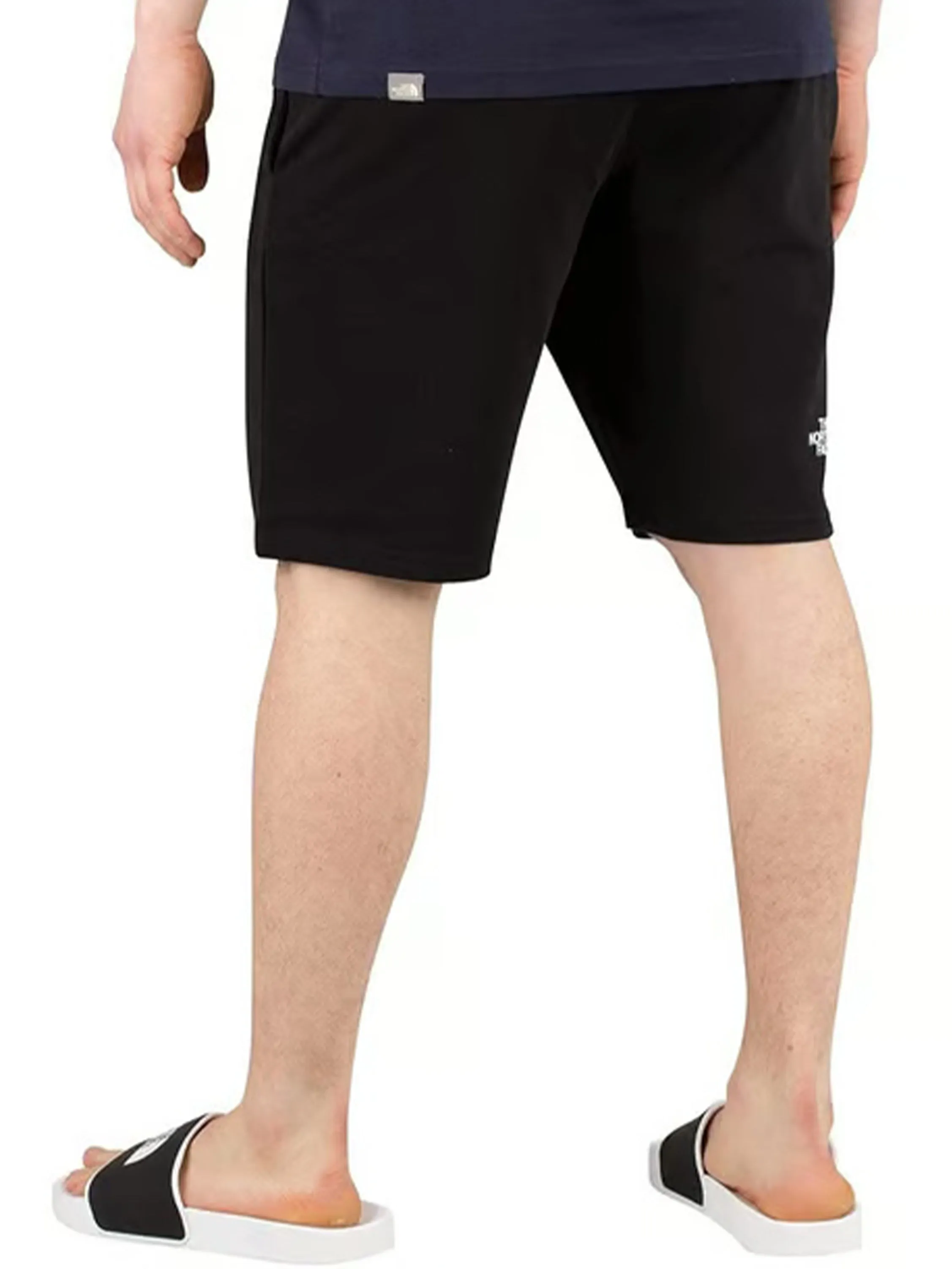 The North Face | Mens Standard Shorts